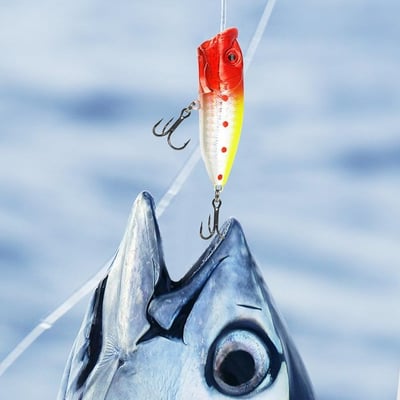 π24 Days Christmas Countdown Fish Tackle Set