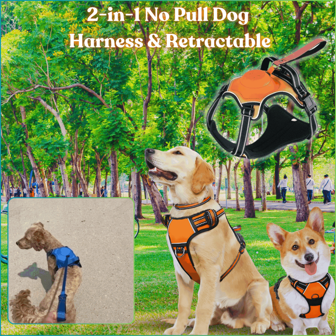 2-in-1 No Pull Dog Harness & Retractable