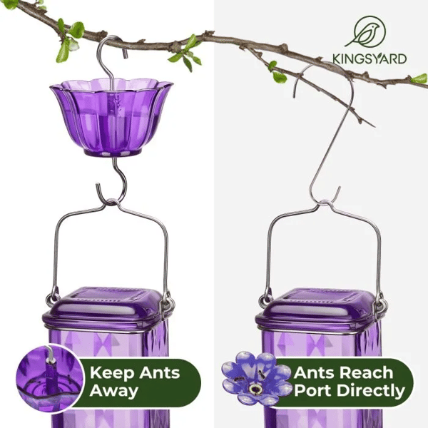 Glass Hummingbird Feederš„