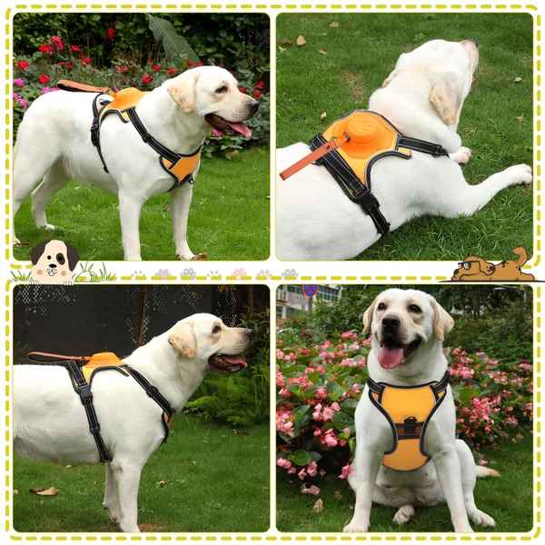 2-in-1 No Pull Dog Harness & Retractable