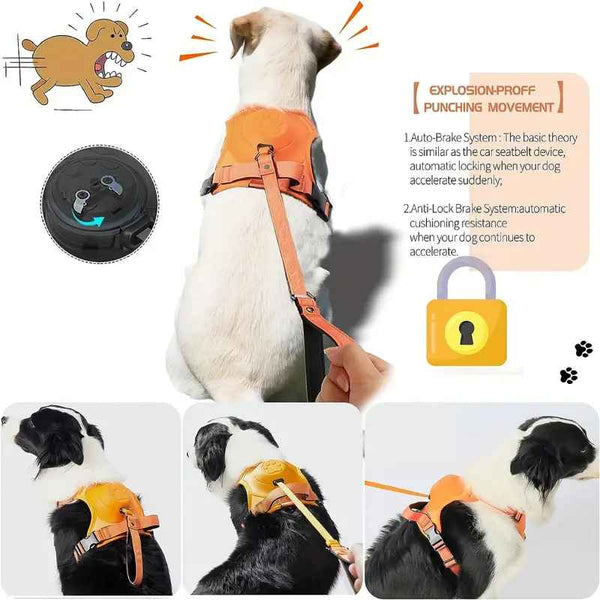 2-in-1 No Pull Dog Harness & Retractable