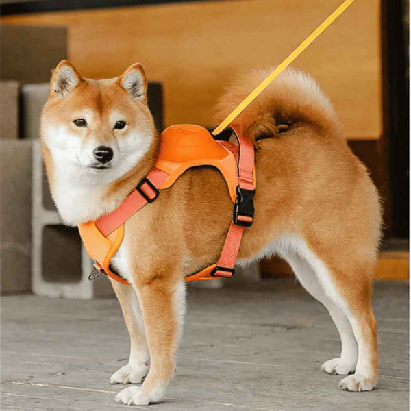 2-in-1 No Pull Dog Harness & Retractable