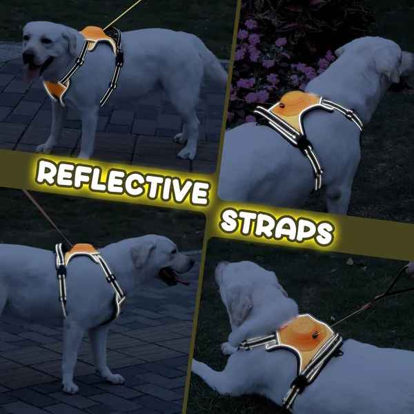 2-in-1 No Pull Dog Harness & Retractable