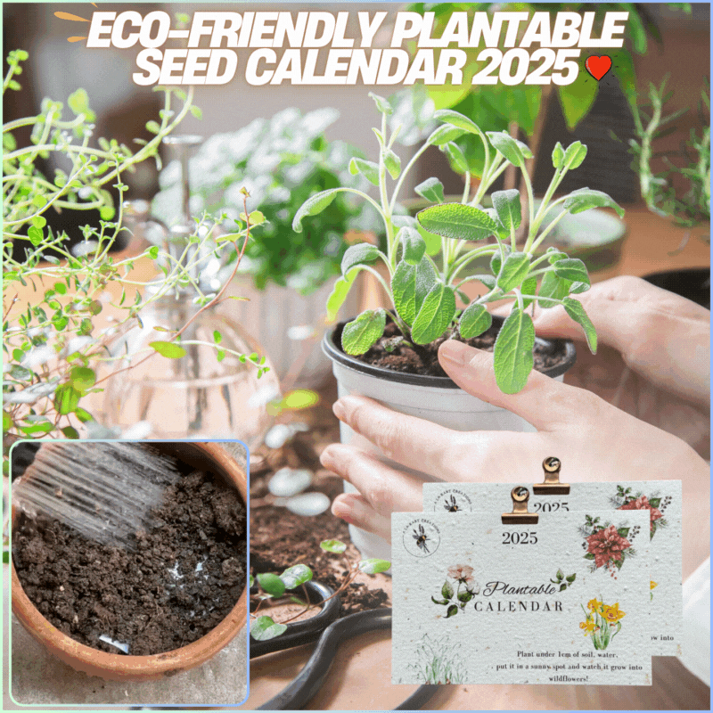 Eco-Friendly Plantable Seed Calendar 2025🌱