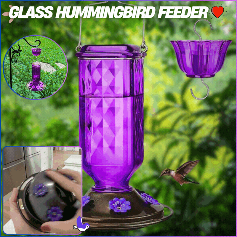 Glass Hummingbird Feederš„