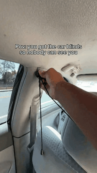 š„Universal Car Privacy Divider Curtains
