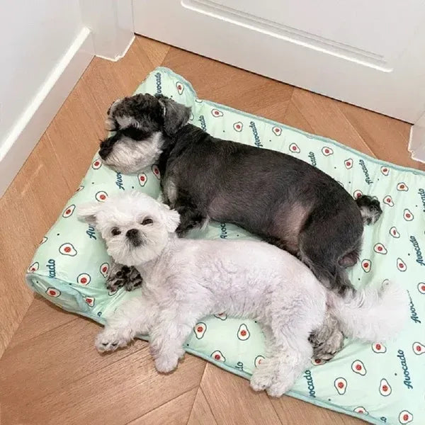 🐱CATS/DOGS COOLING BED🐶