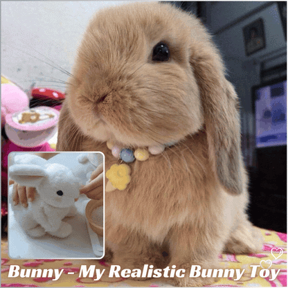 Bunny - My Realistic Bunny Toy🐇