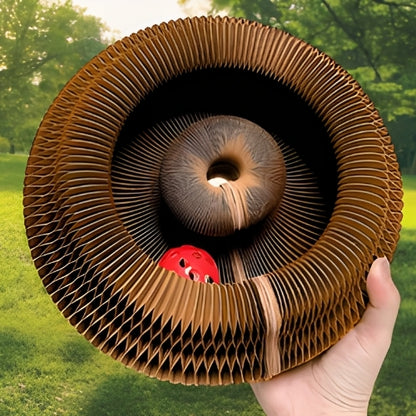 Veterinarian-Recommended Cat Scratching Toy