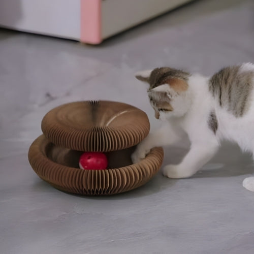 Veterinarian-Recommended Cat Scratching Toy