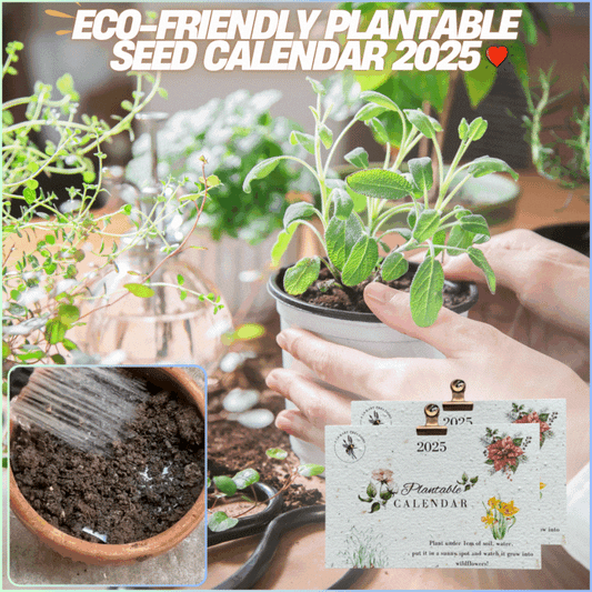 Eco-Friendly Plantable Seed Calendar 2025🌱