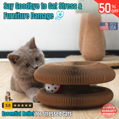 Veterinarian-Recommended Cat Scratching Toy