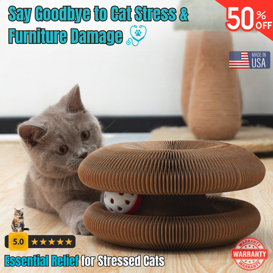 Veterinarian-Recommended Cat Scratching Toy