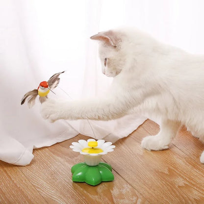 🔥Electric bird teasing cat toy