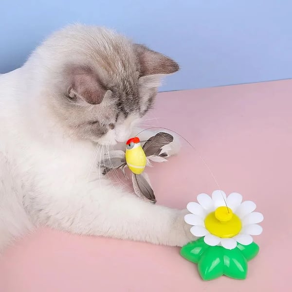 🔥Electric bird teasing cat toy