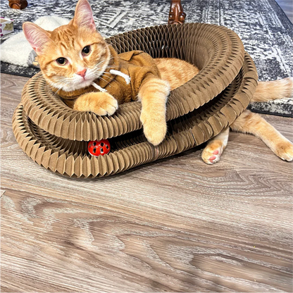 Veterinarian-Recommended Cat Scratching Toy